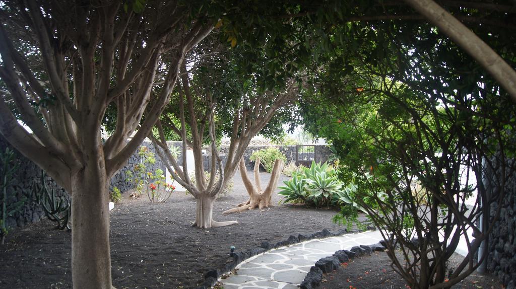 Finca la Rubina Mozaga Luaran gambar